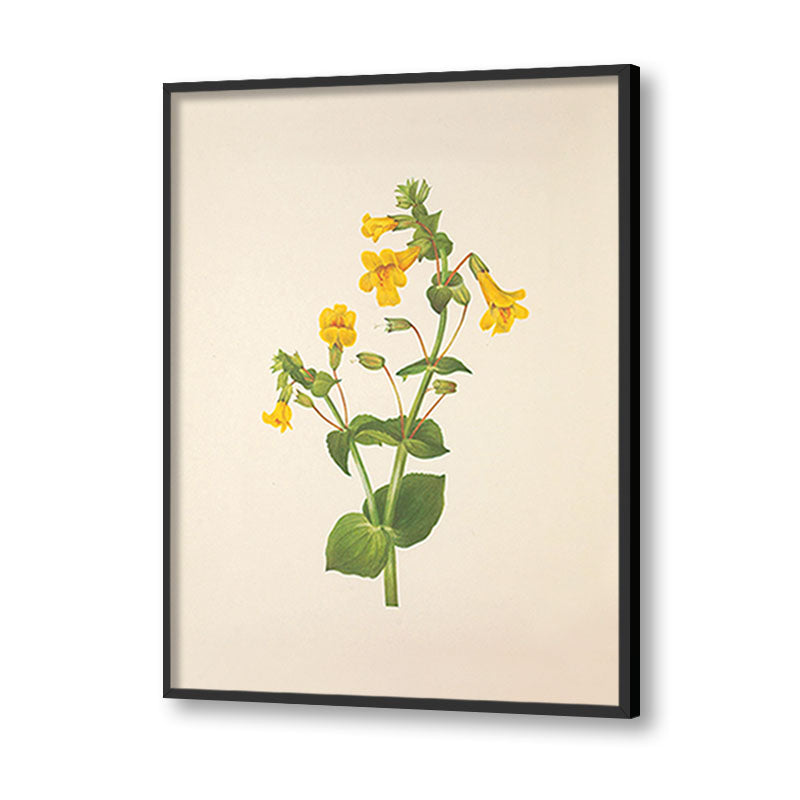 Minimal Botanical 5 Vintage Artwork Canvas Print for Wall