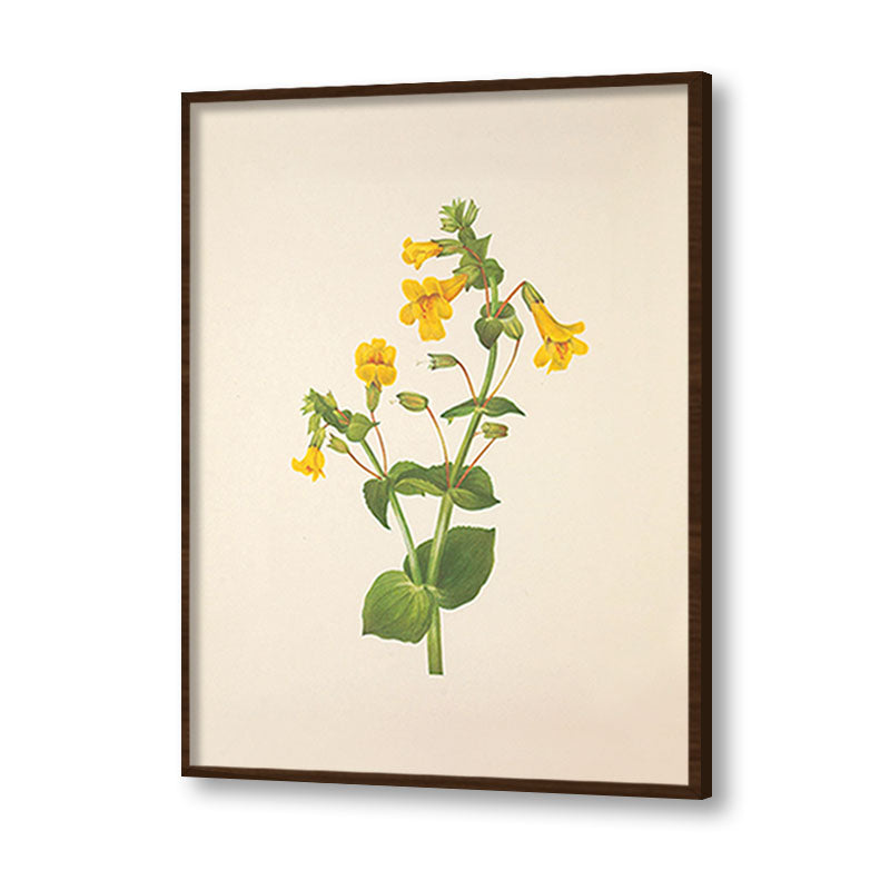 Minimal Botanical 5 Vintage Artwork Canvas Print for Wall