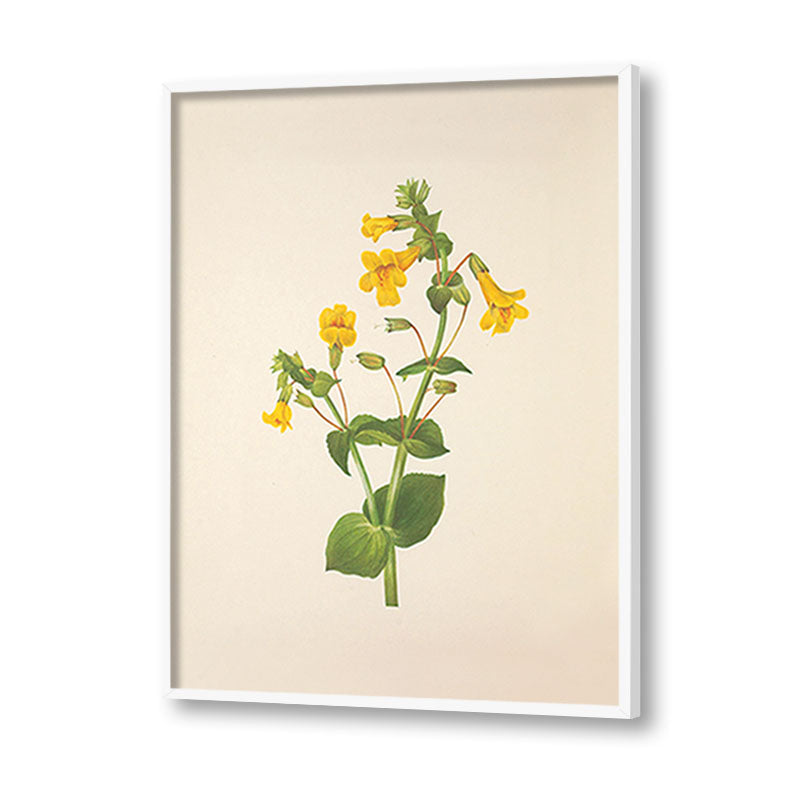 Minimal Botanical 5 Vintage Artwork Canvas Print for Wall